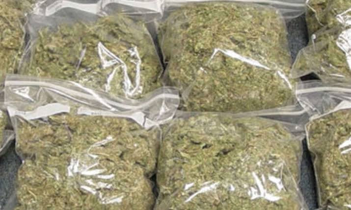 இந்தியாவிலிருந்து இலங்கைக்கு கடத்தப்படவிருந்த கஞ்சா பறிமுதல்