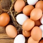 முட்டையின் விலையில் மாற்றம்!