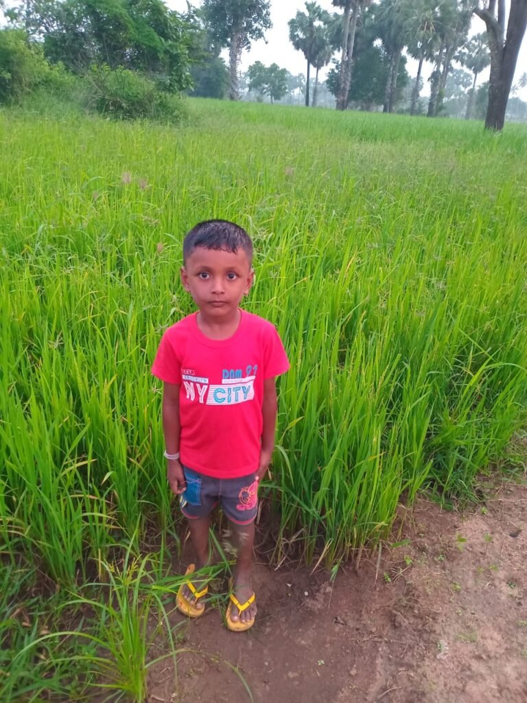 மின்சாரம் தாக்கி சிறுவன் பலி – ஒட்டுசுட்டானில் சம்பவம்.