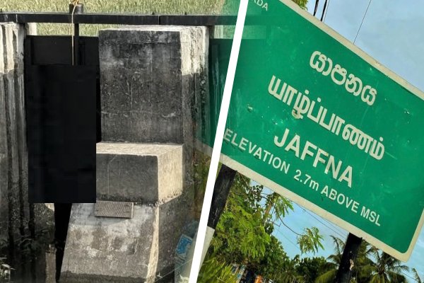 யாழில் வயல் வெளியில் தூக்கில் தொங்கிய இளைஞனின் சடலத்தால் பரபரப்பு