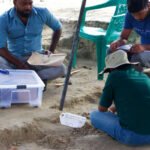 செம்மணியில் மீட்கப்பட்ட குழந்தையின் என்புக்கூடு!!
