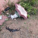 விஜய் வெற்றியைக் கொண்டாடச் சென்ற இளைஞர்கள் பலி – யாழில் சம்பவம்!!