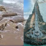 42 ஆண்டுகளுக்கு பின்பு வெளிப்பட்ட பாலம் – தனுஷ்கோடியில் சம்பவம்!!