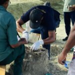 செம்மணியில் இன்றும் 06 என்புக்கூடுகள் அடையாளம் காணப்பட்டது!!