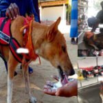 சுப்பிரமணியின் உடல்நிலை குறித்த அறிவுறுத்தல்!!