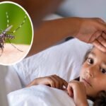டெங்கு அபாயம் – இலங்கைக்கு சிவப்பு எச்சரிக்கை!!